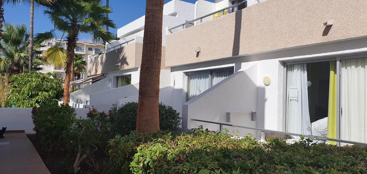 Apartment Adults Only Sunny Quiet In Center Of Americas