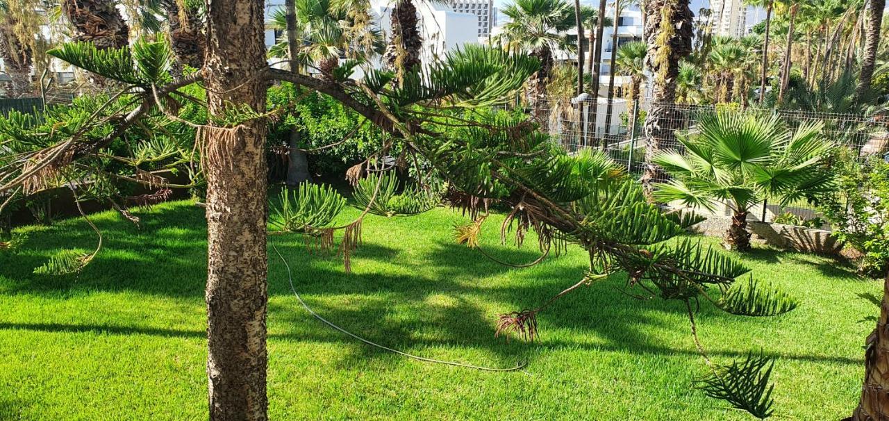 Adults Only Sunny Quiet In Center Of Americas Apartment Arona (Tenerife)