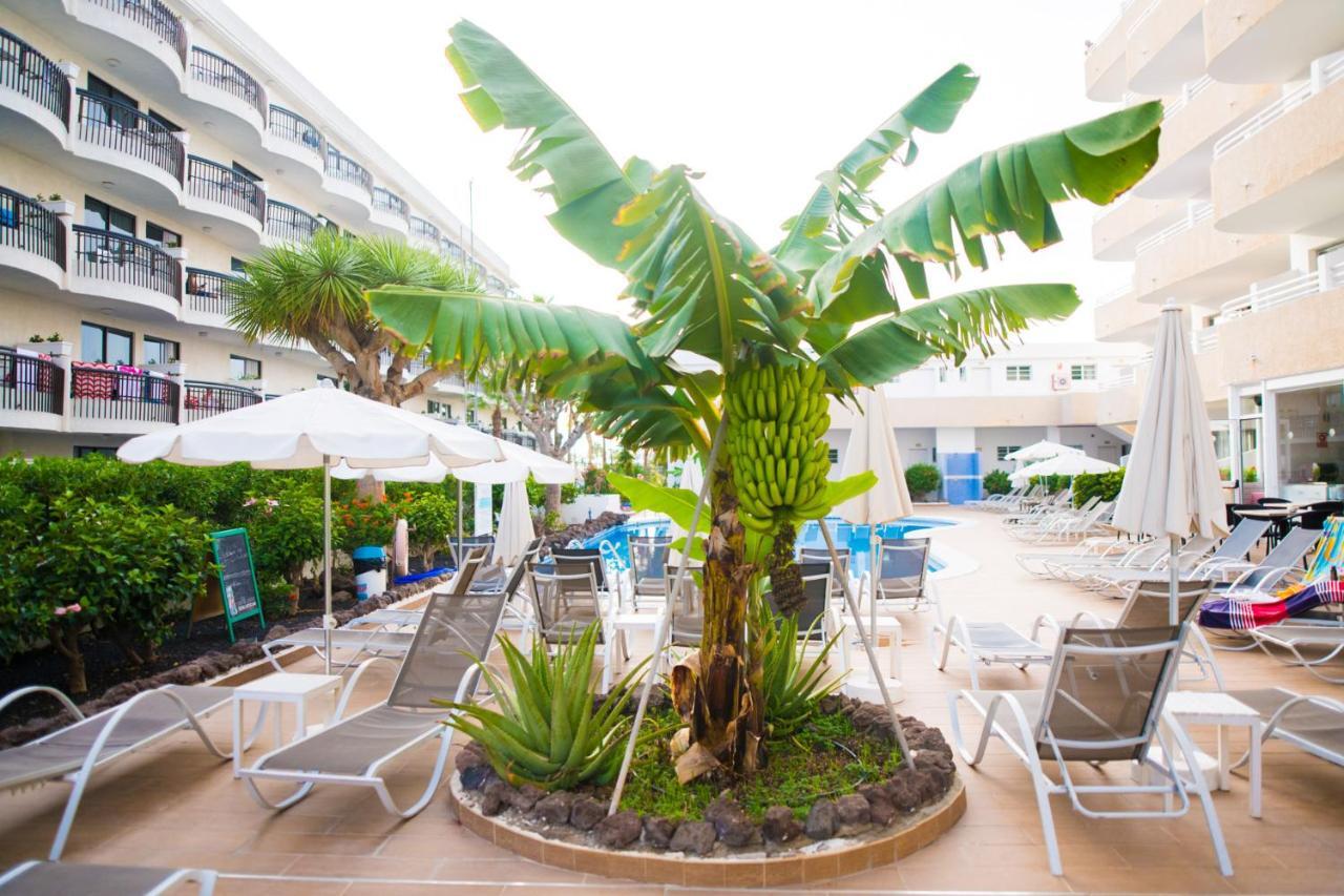 Adults Only Sunny Quiet In Center Of Americas