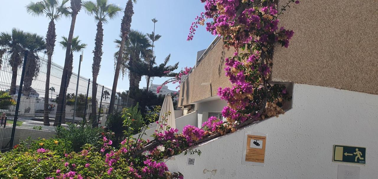 Apartament Adults Only Sunny Quiet In Center Of Americas *