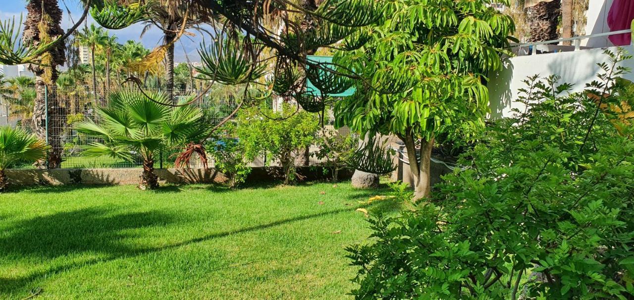 Apartment Adults Only Sunny Quiet In Center Of Americas