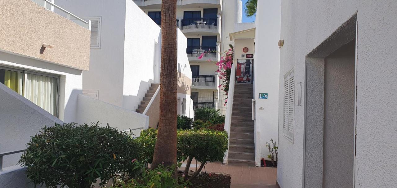Apartment Adults Only Sunny Quiet In Center Of Americas Arona (Tenerife)