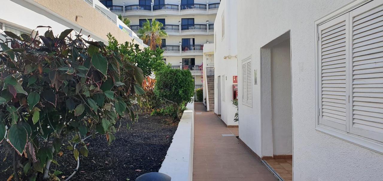 Apartament Adults Only Sunny Quiet In Center Of Americas *